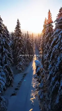 Winter is magic 