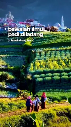Petuah Orang Tua