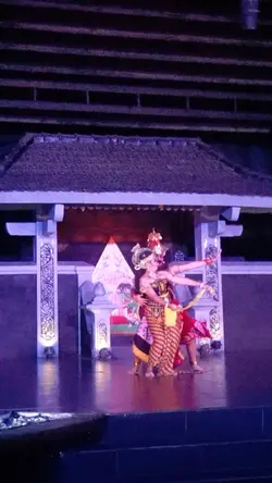 DINNER PERFORMANCE