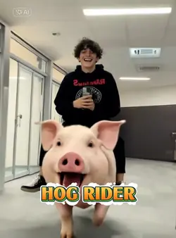 Hôg rider