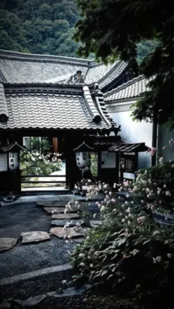 NHƯ PHÚT BAN ĐẦU 