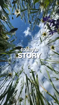 Todays Story