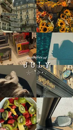 july dump 8 pict