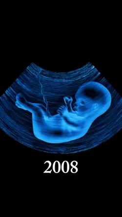 2008 vs 2026