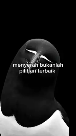 kata kata berekelas