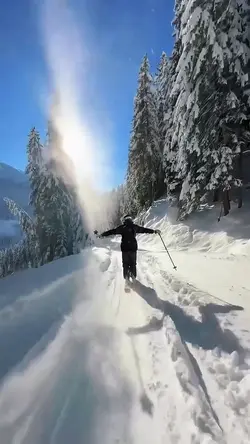 Winter Day