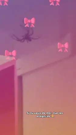 Araignée 😞