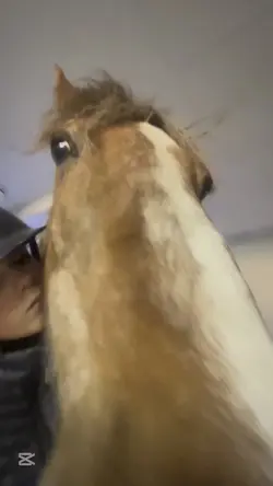 Bästa 🥰