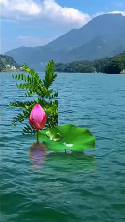 #jngnpunyasifat