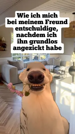 Cute dog 