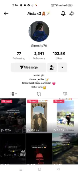 my Tiktok account "