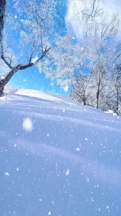 Snow Trend