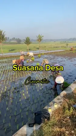 Suasana Desa