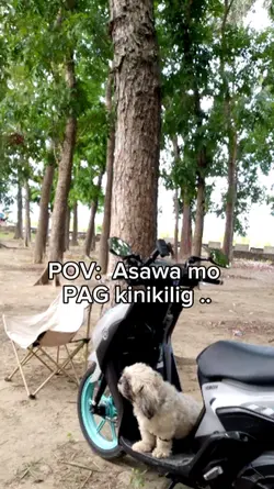 POV