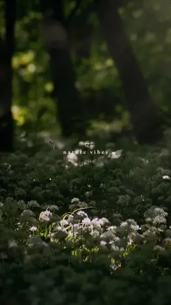 nature vibes