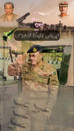 پاکستانی شاہین 
