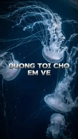 [2] ĐTCEV