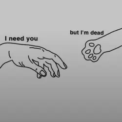Cat But I'm dead