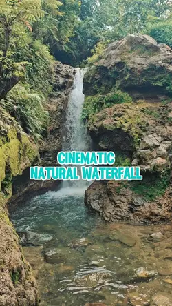 CINEMATIC NATURAL