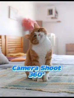 Camera shoot 360°