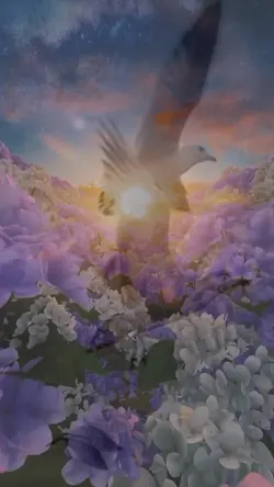 SET YOURSELF FREE