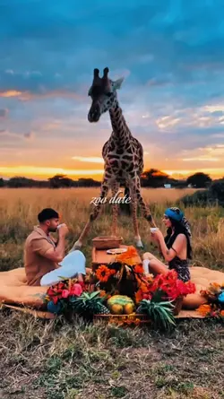 zoo date