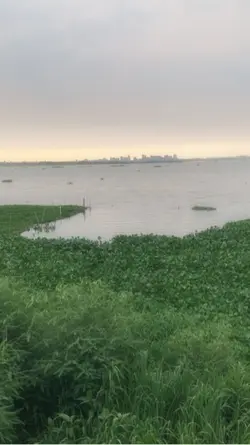 Nature Video