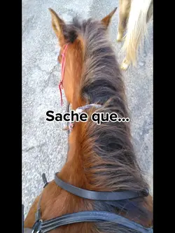 Il me manque vrmt...