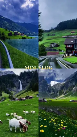 Mini vlog