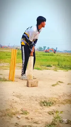 Cricket lover