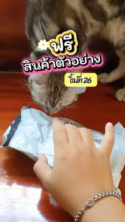 สินค้าตัวอย่าง