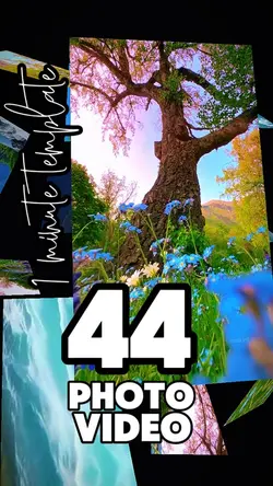 44 clip or photo 