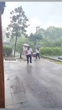 funnyvideo