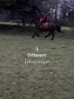 Dimension 💫