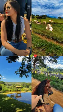 vibe dia na roça 