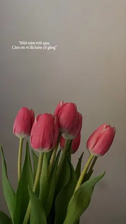 caption cuối năm