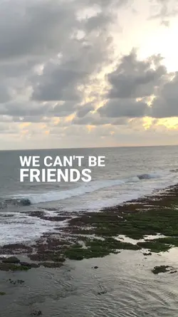 We can't be friends