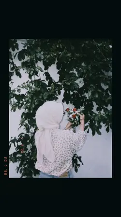 filter estetik