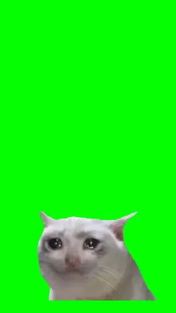 Cat crying meme