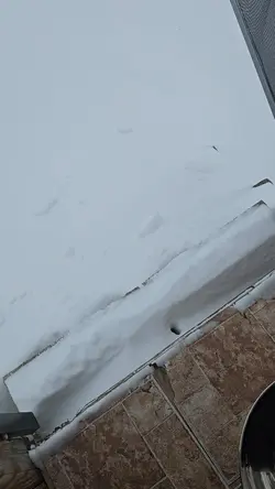 snowy