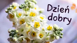 Dzień dobry…