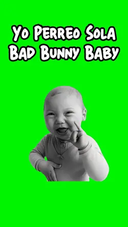 Yo Perreo Sola
Baby