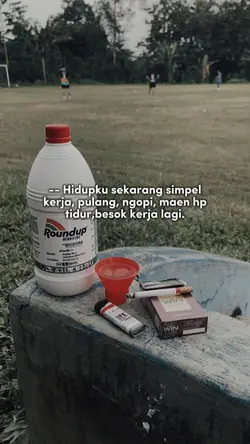 Hidupku sekarang