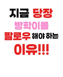 방하기 100일 기념 홍보
