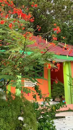 Memberihkan ligkunga