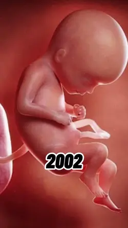 2002 vs 2025 > Try