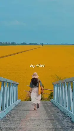 day 1/365