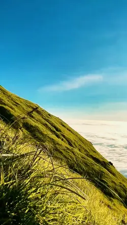 Bolywood song