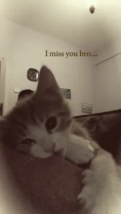 I miss you bro