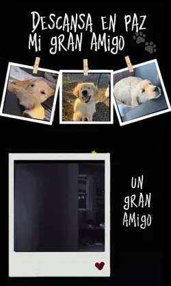Descansa amigo mío 